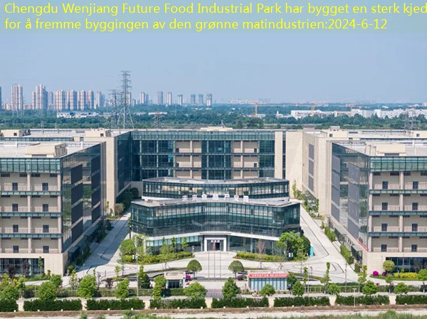 Chengdu Wenjiang Future Food Industrial Park bygde en sterk kjede for å fremme den grønne matindustrien.